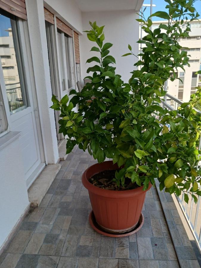 Room With Private Toilet And Balcony In City Center In Shared Apartment Сплит Экстерьер фото